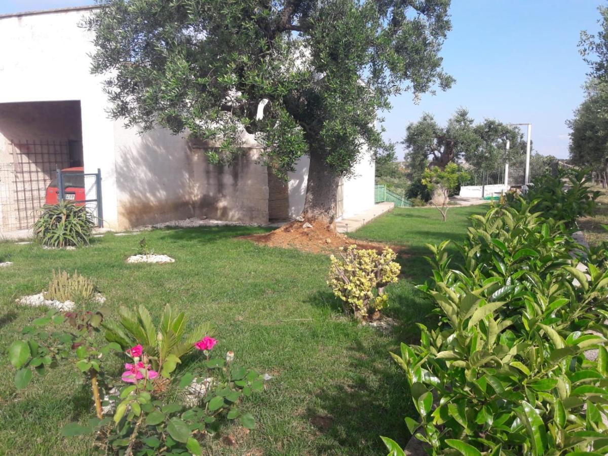 La Casa Di Nonno Βίλα Φαζάνο Εξωτερικό φωτογραφία
