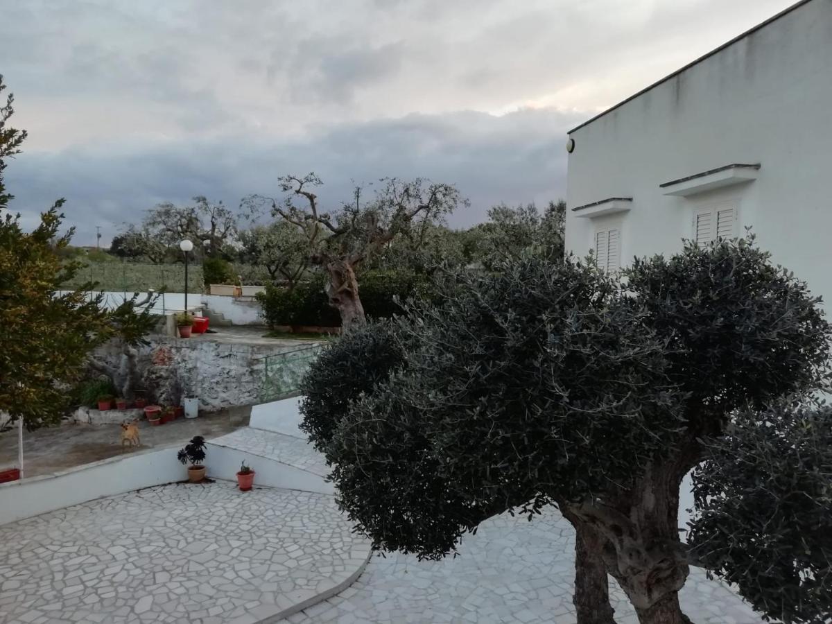 La Casa Di Nonno Βίλα Φαζάνο Εξωτερικό φωτογραφία
